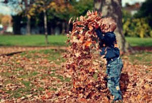 Read more about the article Happiness is in You
